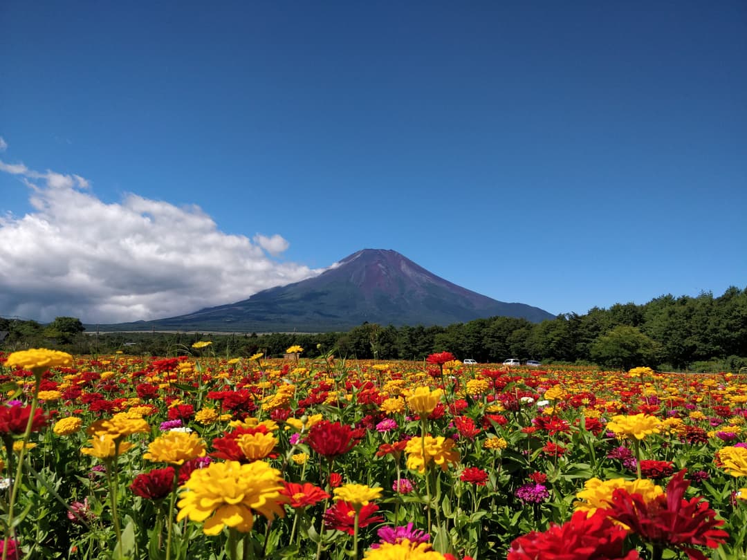 Mt Fuji